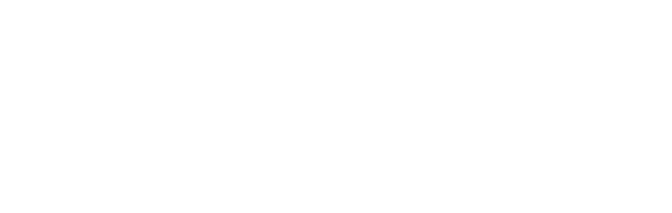 RX Solutions logo white